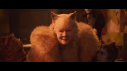 Кадр фильма CATS - 2